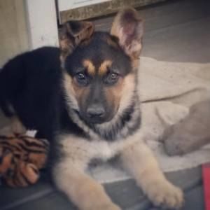 Meet your Posher, Amy